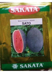 Sato Watermelon